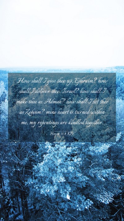 Picture 03 - Hosea 11:8 KJV Mobile Phone Wallpaper - How shall I give thee up, Ephraim? how shall I - Mobile Bible Verse Wallpaper