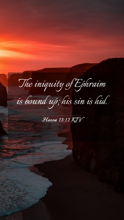 Picture 03 - Hosea 13:12 KJV Mobile Phone Wallpaper - The iniquity of Ephraim is bound up; his sin is - Mobile Bible Verse Wallpaper