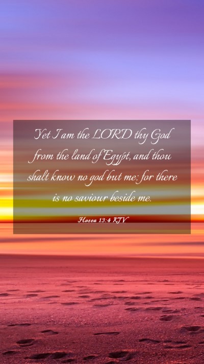 Picture 03 - Hosea 13:4 KJV Mobile Phone Wallpaper - Yet I am the LORD thy God from the land of Egypt, - Mobile Bible Verse Wallpaper