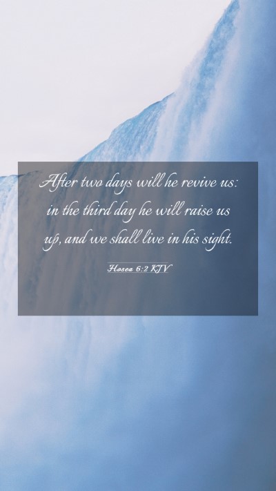 Picture 03 - Hosea 6:2 KJV Mobile Phone Wallpaper - After two days will he revive us: in the third - Mobile Bible Verse Wallpaper