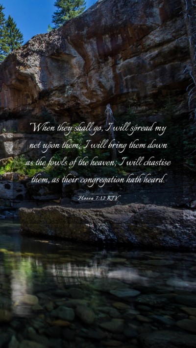 Picture 03 - Hosea 7:12 KJV Mobile Phone Wallpaper - When they shall go, I will spread my net upon - Mobile Bible Verse Wallpaper