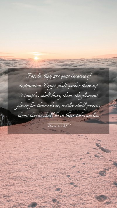 Picture 03 - Hosea 9:6 KJV Mobile Phone Wallpaper - For, lo, they are gone because of destruction: - Mobile Bible Verse Wallpaper