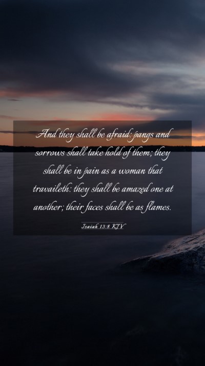 Picture 03 - Isaiah 13:8 KJV Mobile Phone Wallpaper - And they shall be afraid: pangs and sorrows shall - Mobile Bible Verse Wallpaper