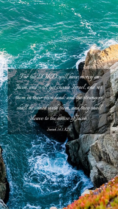 Picture 03 - Isaiah 14:1 KJV Mobile Phone Wallpaper - For the LORD will have mercy on Jacob, and will - Mobile Bible Verse Wallpaper