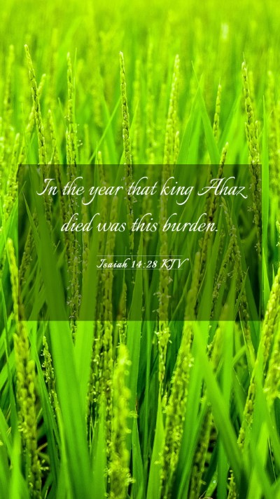 Picture 03 - Isaiah 14:28 KJV Mobile Phone Wallpaper - In the year that king Ahaz died was this - Mobile Bible Verse Wallpaper