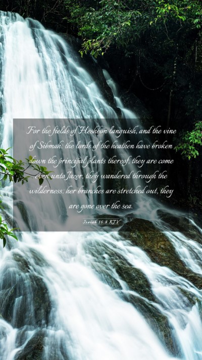 Picture 03 - Isaiah 16:8 KJV Mobile Phone Wallpaper - For the fields of Heshbon languish, and the vine - Mobile Bible Verse Wallpaper