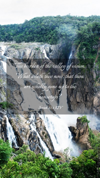 Picture 03 - Isaiah 22:1 KJV Mobile Phone Wallpaper - The burden of the valley of vision. What aileth - Mobile Bible Verse Wallpaper