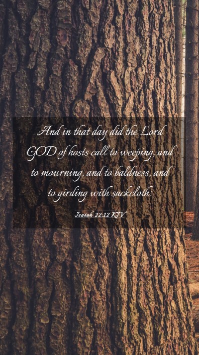 Picture 03 - Isaiah 22:12 KJV Mobile Phone Wallpaper - And in that day did the Lord GOD of hosts call to - Mobile Bible Verse Wallpaper