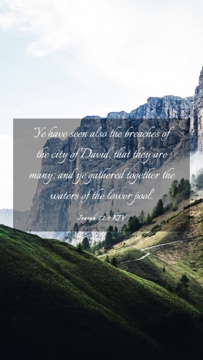 Picture 03 - Isaiah 22:9 KJV Mobile Phone Wallpaper - Ye have seen also the breaches of the city of - Mobile Bible Verse Wallpaper