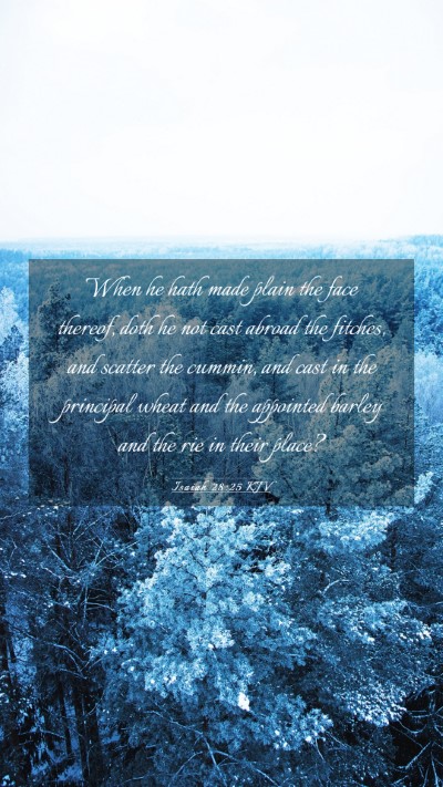 Picture 03 - Isaiah 28:25 KJV Mobile Phone Wallpaper - When he hath made plain the face thereof, doth he - Mobile Bible Verse Wallpaper