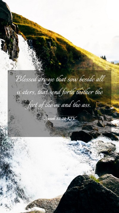 Picture 03 - Isaiah 32:20 KJV Mobile Phone Wallpaper - Blessed are ye that sow beside all waters, that - Mobile Bible Verse Wallpaper