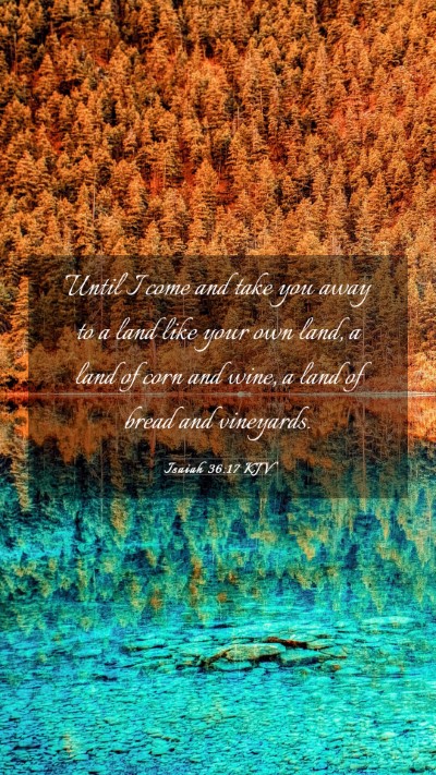 Picture 03 - Isaiah 36:17 KJV Mobile Phone Wallpaper - Until I come and take you away to a land like - Mobile Bible Verse Wallpaper