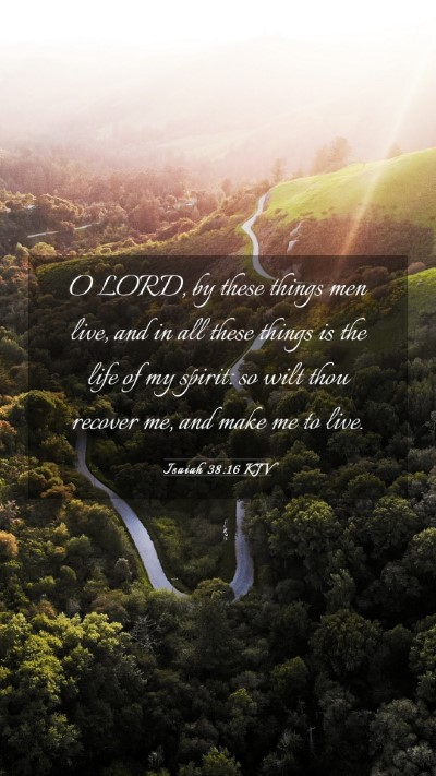 Picture 03 - Isaiah 38:16 KJV Mobile Phone Wallpaper - O LORD, by these things men live, and in all - Mobile Bible Verse Wallpaper