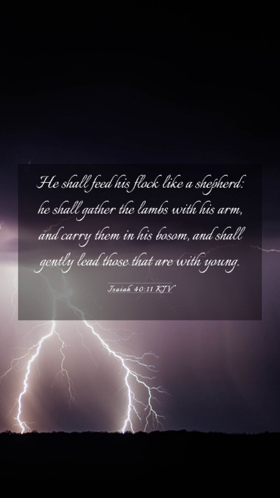 Picture 03 - Isaiah 40:11 KJV Mobile Phone Wallpaper - He shall feed his flock like a shepherd: he shall - Mobile Bible Verse Wallpaper