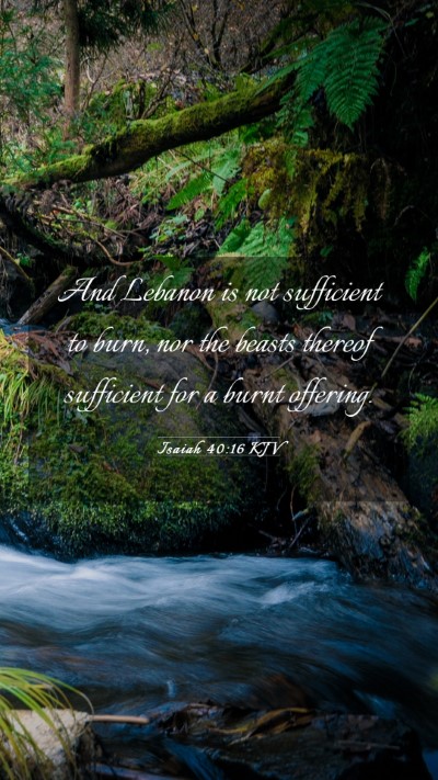 Picture 03 - Isaiah 40:16 KJV Mobile Phone Wallpaper - And Lebanon is not sufficient to burn, nor the - Mobile Bible Verse Wallpaper