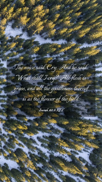 Picture 03 - Isaiah 40:6 KJV Mobile Phone Wallpaper - The voice said, Cry. And he said, What shall I - Mobile Bible Verse Wallpaper