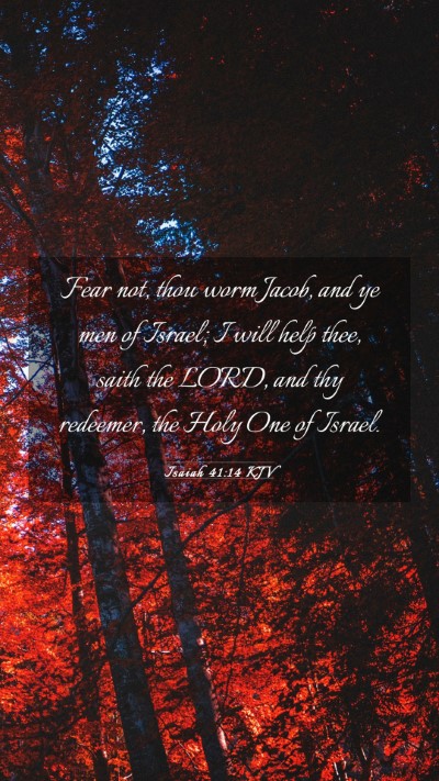 Picture 03 - Isaiah 41:14 KJV Mobile Phone Wallpaper - Fear not, thou worm Jacob, and ye men of Israel; - Mobile Bible Verse Wallpaper