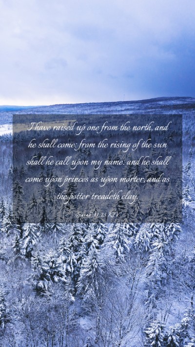Picture 03 - Isaiah 41:25 KJV Mobile Phone Wallpaper - I have raised up one from the north, and he shall - Mobile Bible Verse Wallpaper