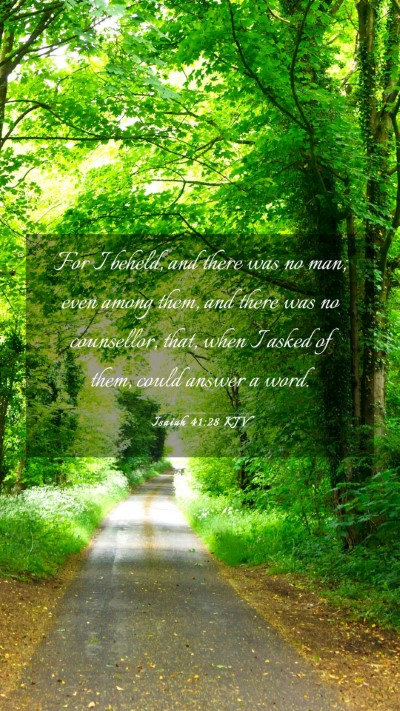 Picture 03 - Isaiah 41:28 KJV Mobile Phone Wallpaper - For I beheld, and there was no man; even among - Mobile Bible Verse Wallpaper