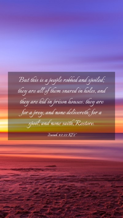 Picture 03 - Isaiah 42:22 KJV Mobile Phone Wallpaper - But this is a people robbed and spoiled; they are - Mobile Bible Verse Wallpaper