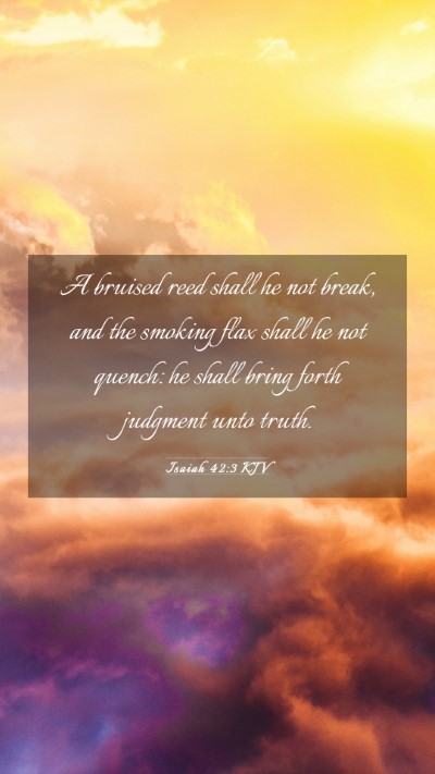 Picture 03 - Isaiah 42:3 KJV Mobile Phone Wallpaper - A bruised reed shall he not break, and the - Mobile Bible Verse Wallpaper