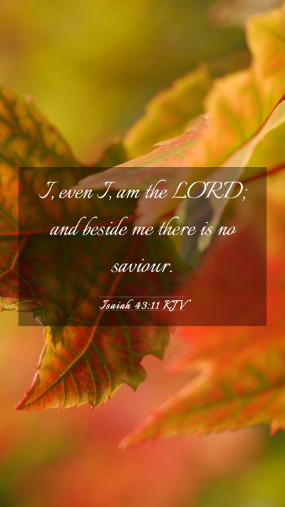 Picture 03 - Isaiah 43:11 KJV Mobile Phone Wallpaper - I, even I, am the LORD; and beside me there is no - Mobile Bible Verse Wallpaper