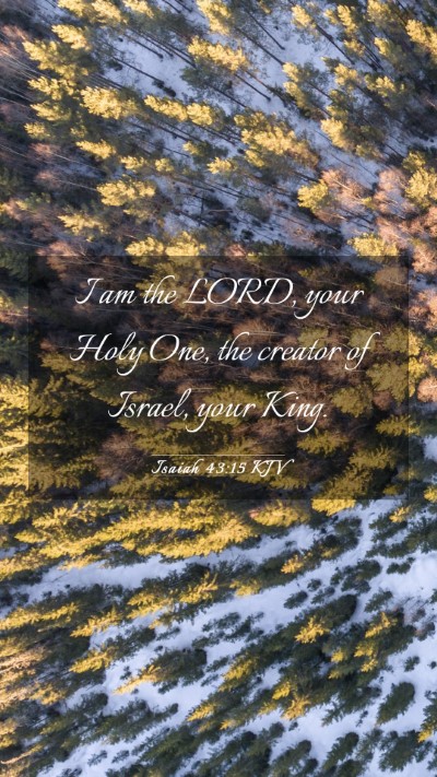 Picture 03 - Isaiah 43:15 KJV Mobile Phone Wallpaper - I am the LORD, your Holy One, the creator of - Mobile Bible Verse Wallpaper