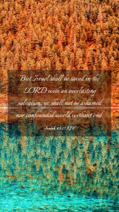 Picture 03 - Isaiah 45:17 KJV Mobile Phone Wallpaper - But Israel shall be saved in the LORD with an - Mobile Bible Verse Wallpaper
