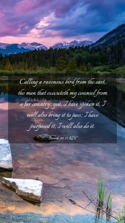 Picture 03 - Isaiah 46:11 KJV Mobile Phone Wallpaper - Calling a ravenous bird from the east, the man - Mobile Bible Verse Wallpaper
