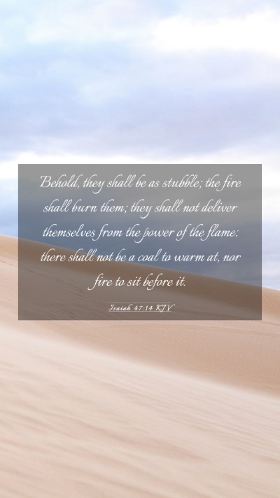 Picture 03 - Isaiah 47:14 KJV Mobile Phone Wallpaper - Behold, they shall be as stubble; the fire shall - Mobile Bible Verse Wallpaper