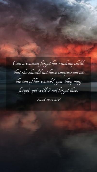 Picture 03 - Isaiah 49:15 KJV Mobile Phone Wallpaper - Can a woman forget her sucking child, that she - Mobile Bible Verse Wallpaper