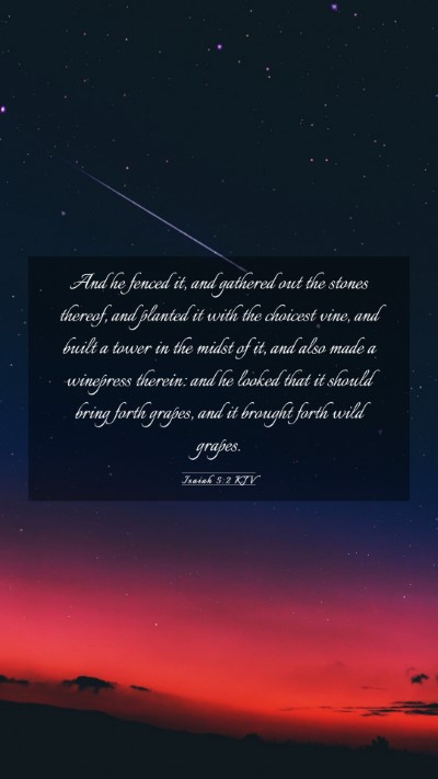 Picture 03 - Isaiah 5:2 KJV Mobile Phone Wallpaper - And he fenced it, and gathered out the stones - Mobile Bible Verse Wallpaper