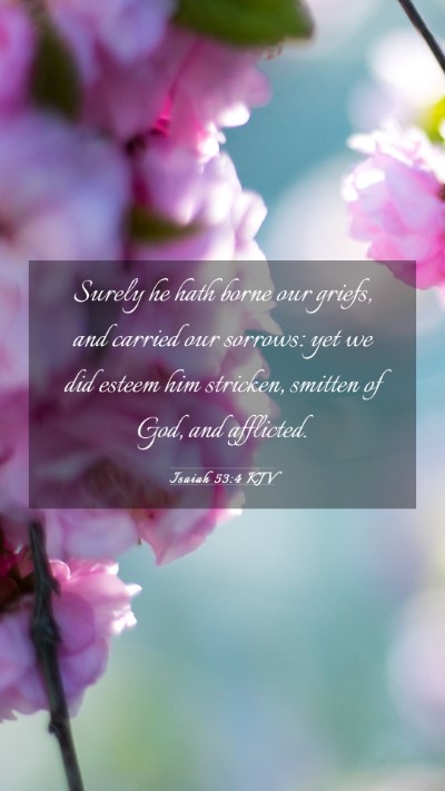 Picture 03 - Isaiah 53:4 KJV Mobile Phone Wallpaper - Surely he hath borne our griefs, and carried our - Mobile Bible Verse Wallpaper
