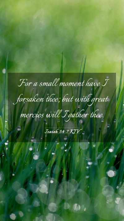 Picture 03 - Isaiah 54:7 KJV Mobile Phone Wallpaper - For a small moment have I forsaken thee; but with - Mobile Bible Verse Wallpaper