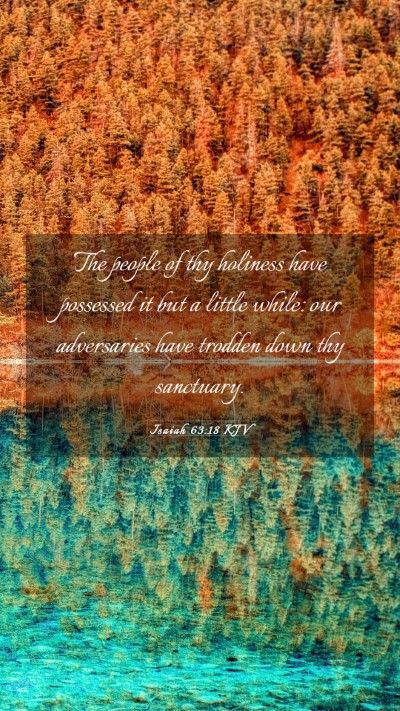 Picture 03 - Isaiah 63:18 KJV Mobile Phone Wallpaper - The people of thy holiness have possessed it but - Mobile Bible Verse Wallpaper