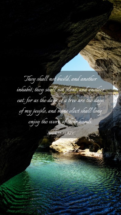 Picture 03 - Isaiah 65:22 KJV Mobile Phone Wallpaper - They shall not build, and another inhabit; they - Mobile Bible Verse Wallpaper