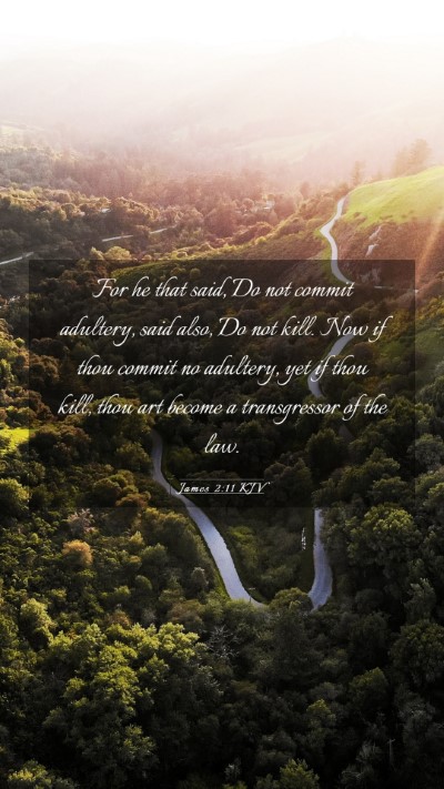 Picture 03 - James 2:11 KJV Mobile Phone Wallpaper - For he that said, Do not commit adultery, said - Mobile Bible Verse Wallpaper