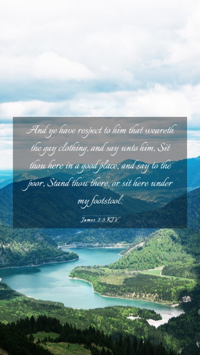 Picture 03 - James 2:3 KJV Mobile Phone Wallpaper - And ye have respect to him that weareth the gay - Mobile Bible Verse Wallpaper