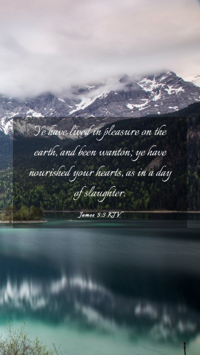 Picture 03 - James 5:5 KJV Mobile Phone Wallpaper - Ye have lived in pleasure on the earth, and been - Mobile Bible Verse Wallpaper