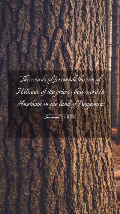 Picture 03 - Jeremiah 1:1 KJV Mobile Phone Wallpaper - The words of Jeremiah the son of Hilkiah, of the - Mobile Bible Verse Wallpaper