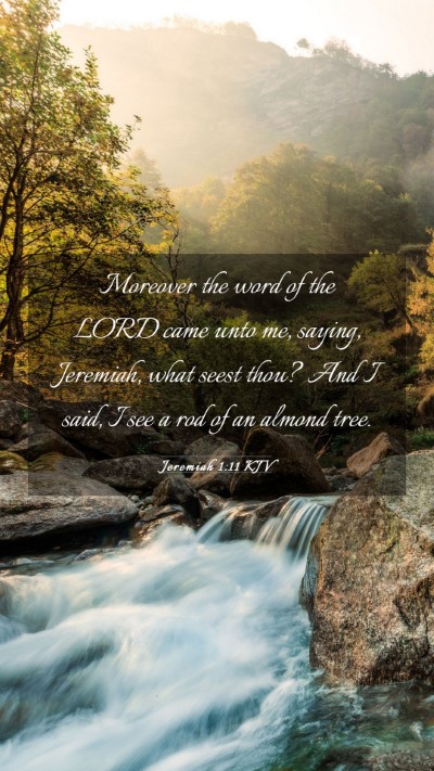 Picture 03 - Jeremiah 1:11 KJV Mobile Phone Wallpaper - Moreover the word of the LORD came unto me, - Mobile Bible Verse Wallpaper