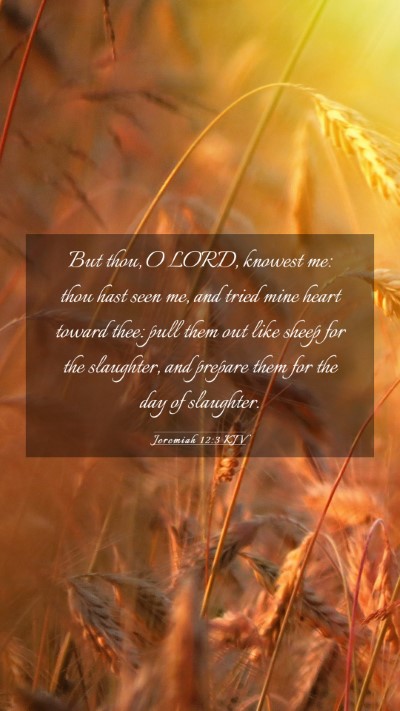 Picture 03 - Jeremiah 12:3 KJV Mobile Phone Wallpaper - But thou, O LORD, knowest me: thou hast seen me, - Mobile Bible Verse Wallpaper