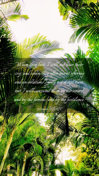 Picture 03 - Jeremiah 14:12 KJV Mobile Phone Wallpaper - When they fast, I will not hear their cry; and - Mobile Bible Verse Wallpaper