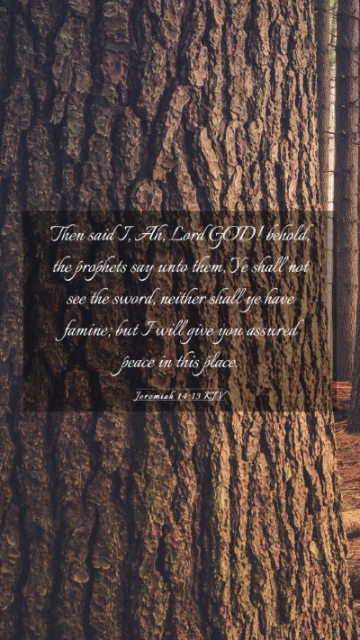Picture 03 - Jeremiah 14:13 KJV Mobile Phone Wallpaper - Then said I, Ah, Lord GOD! behold, the prophets - Mobile Bible Verse Wallpaper