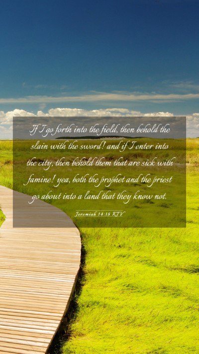 Picture 03 - Jeremiah 14:18 KJV Mobile Phone Wallpaper - If I go forth into the field, then behold the - Mobile Bible Verse Wallpaper