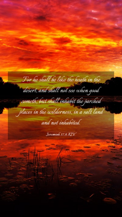 Picture 03 - Jeremiah 17:6 KJV Mobile Phone Wallpaper - For he shall be like the heath in the desert, and - Mobile Bible Verse Wallpaper