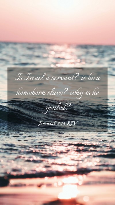 Picture 03 - Jeremiah 2:14 KJV Mobile Phone Wallpaper - Is Israel a servant? is he a homeborn slave? why - Mobile Bible Verse Wallpaper