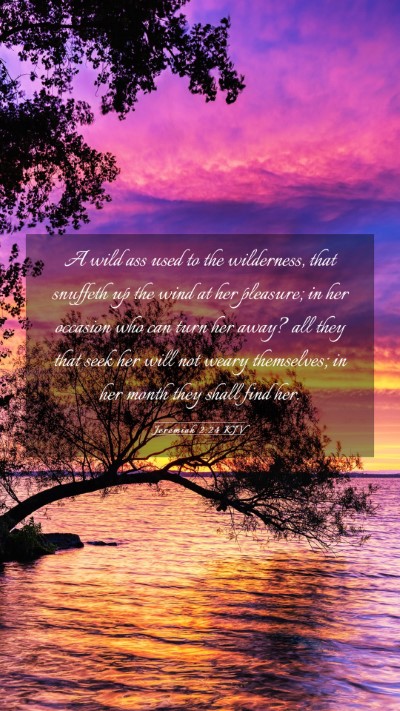 Picture 03 - Jeremiah 2:24 KJV Mobile Phone Wallpaper - A wild ass used to the wilderness, that snuffeth - Mobile Bible Verse Wallpaper