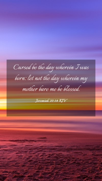 Picture 03 - Jeremiah 20:14 KJV Mobile Phone Wallpaper - Cursed be the day wherein I was born: let not the - Mobile Bible Verse Wallpaper