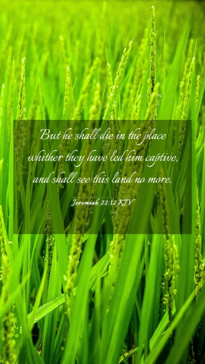 Picture 03 - Jeremiah 22:12 KJV Mobile Phone Wallpaper - But he shall die in the place whither they have - Mobile Bible Verse Wallpaper